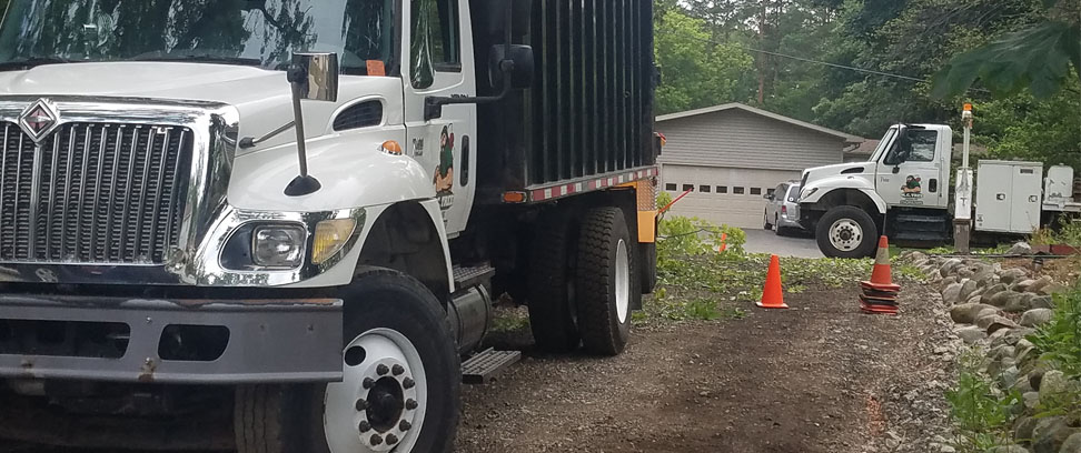 Tree Removal , Professional Tree Services, Brighton, MI