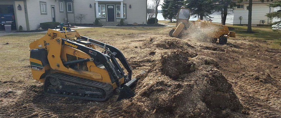 Removing tree debris in michigan